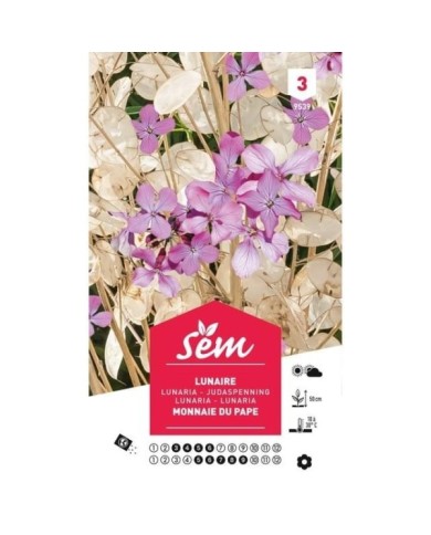Lunaire (sachet)