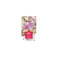 Lunaire (sachet)