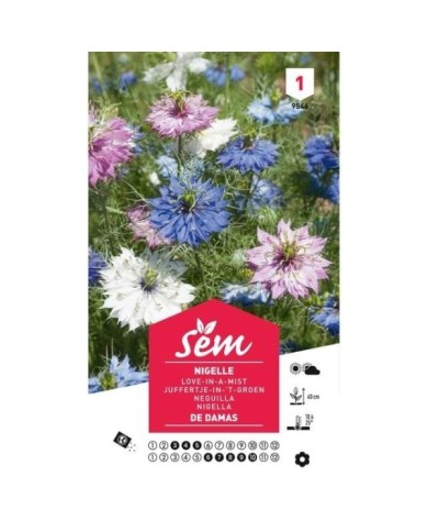 Nigelle de Damas (sachet)