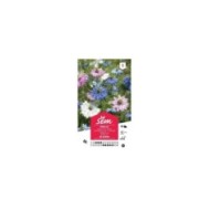 Nigelle de Damas (sachet)