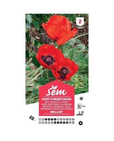 Pavot d'Orient rouge (sachet)