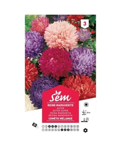 Reine Marguerite Comète en mélange (sachet)