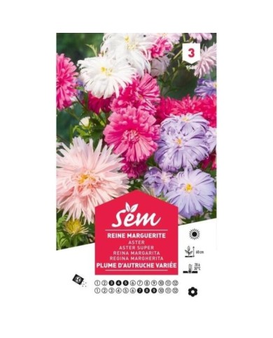 Reine Marguerite Plume d'autruche (sachet)