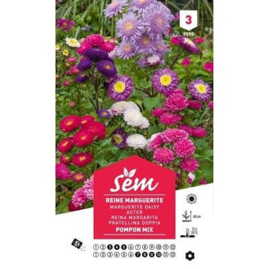 Reine Marguerite Pompon variée (sachet)