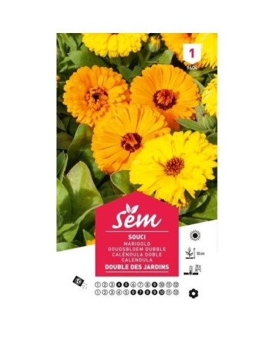 Souci double des jardins (sachet)