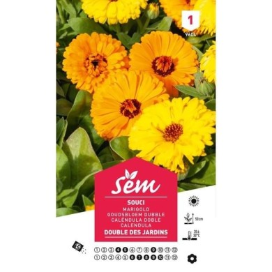 Souci double des jardins (sachet)