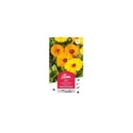 Souci double des jardins (sachet)