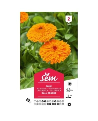Souci orange (sachet)