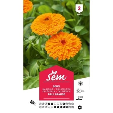 Souci orange (sachet)