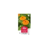 Souci orange (sachet)
