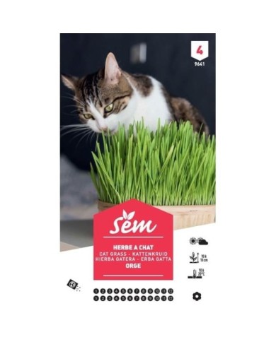 Herbe à chat XXL (sachet)