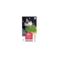 Herbe à chat XXL (sachet)