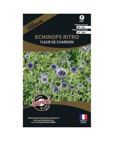 Echinops ritro (sachet)