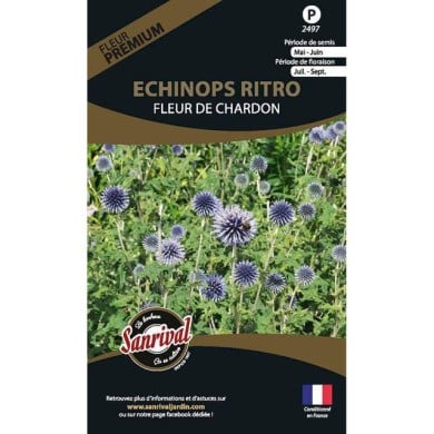 Echinops ritro (sachet)