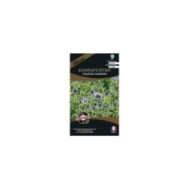 Echinops ritro (sachet)