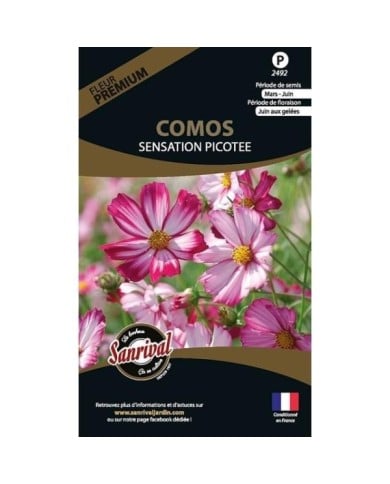 Cosmos sensation picotee (sachet)