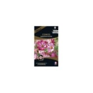 Cosmos sensation picotee (sachet)