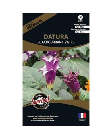 Datura blackcurrant swirl (sachet)