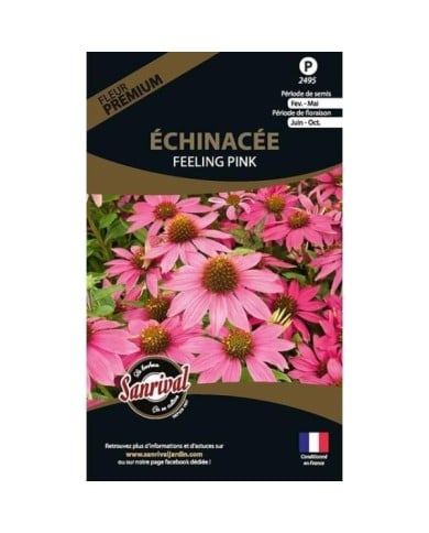 échinacée feeling pink (sachet)