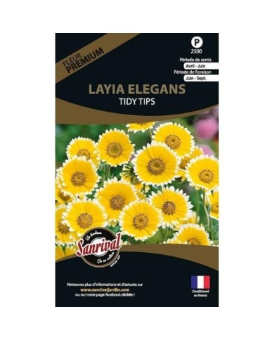 Layia elegans tidy tips (sachet)