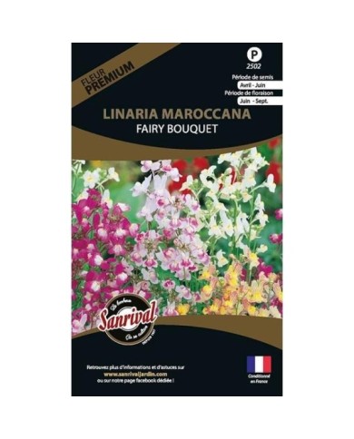 Linaria maroccana fairy bouquet (sachet)
