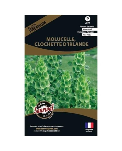 Molucelle - clochette d’Irlande (sachet)