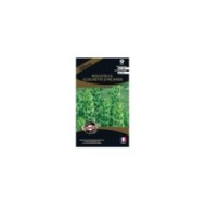 Molucelle - clochette d’Irlande (sachet)