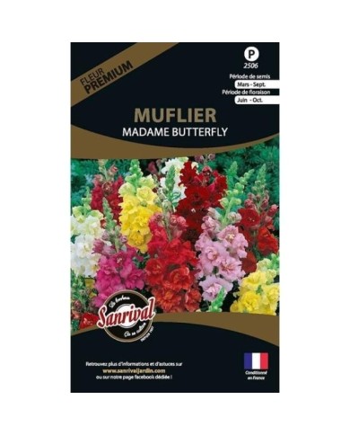 Muflier madame butterfly (sachet)