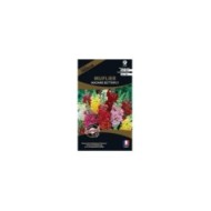 Muflier madame butterfly (sachet)