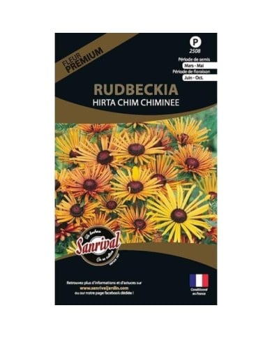 Rudbeckia Hirta chim chiminee (sachet)