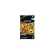 Rudbeckia Hirta chim chiminee (sachet)