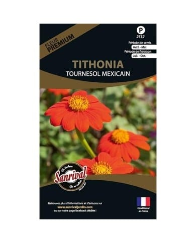 Tithonia Tournesol Mexicain (sachet)