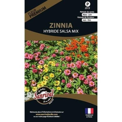 Zinnia Hybride Salsa mix (sachet)