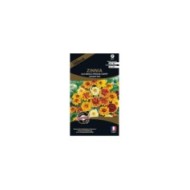 Zinnia Old mexico Persian (sachet)