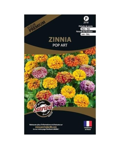 Zinnia Pop Art (sachet)