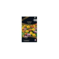 Zinnia Pop Art (sachet)