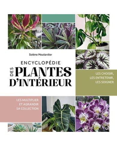 Encyclopédie des plantes d'intérieur