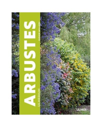 Arbustes - de Didier Willery (éd. Ulmer) (D.R. / Ulmer)