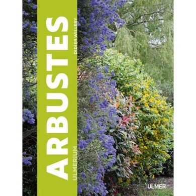 Arbustes - de Didier Willery (éd. Ulmer) (D.R. / Ulmer)