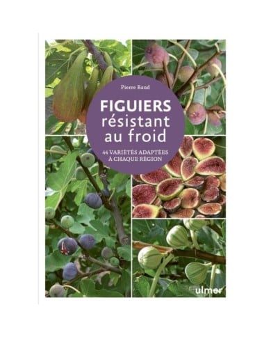 Figuiers résistant au froid (D.R. / Ulmer)
