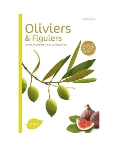 Oliviers et figuiers (Ed. Ulmer)
