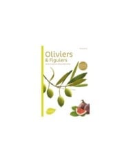 Oliviers et figuiers (Ed. Ulmer)