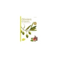 Oliviers et figuiers (Ed. Ulmer)