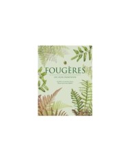 Fougères - Une leçon d'adaptation