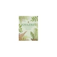 Fougères - Une leçon d'adaptation