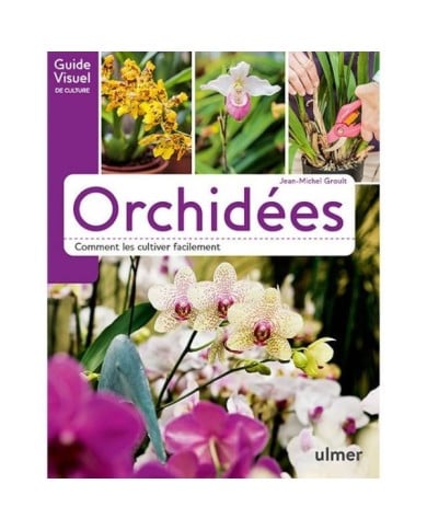 Orchidées - Comment les cultiver facilement (D.R. / Ulmer)