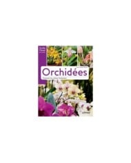Orchidées - Comment les cultiver facilement (D.R. / Ulmer)