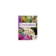 Orchidées - Comment les cultiver facilement (D.R. / Ulmer)