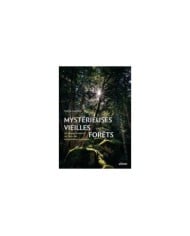 Mystérieuses vieilles forêts : couverture (D.R. / Ulmer)