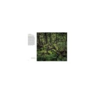 Mystérieuses vieilles forêts : p.24/25 (D.R. / Ulmer)